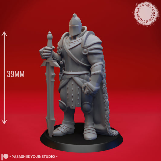 Knight - Sword - 3D Printed Mini for Tabletop Gaming, Dungeons and Dragons, Pathfinder, Kings of War and other RPG's