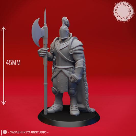 Knight - Halberd - 3D Printed Mini for Tabletop Gaming, Dungeons and Dragons, Pathfinder, Kings of War and other RPG's