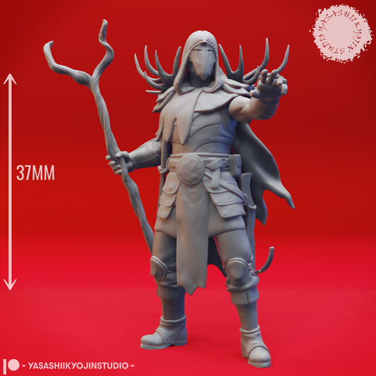 Druid - Lvl 10 - Male - 3D Printed Mini for Tabletop Gaming, Dungeons and Dragons, Pathfinder, Kings of War and other RPG's