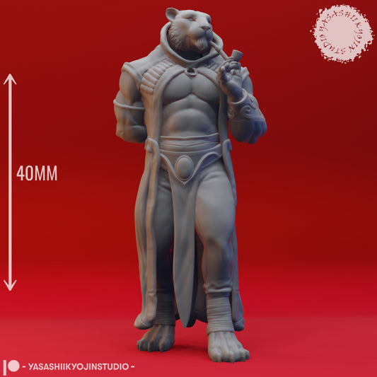 Rakshasa - 3D Printed Mini for Tabletop Gaming, Dungeons and Dragons, Pathfinder, Kings of War and other RPG's