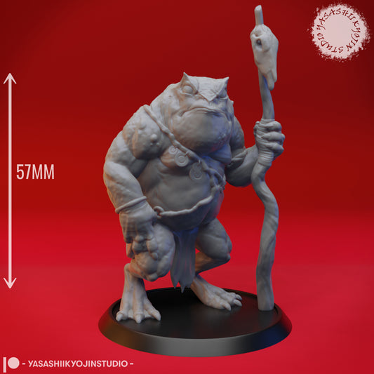 Slaad - Green - 3D Printed Mini for Tabletop Gaming, Dungeons and Dragons, Pathfinder, Kings of War and other RPG's