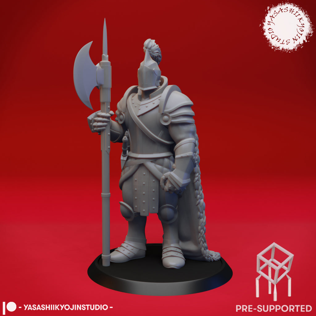 Armored Fighter - Tabletop Miniature (Pre-Supported STL)