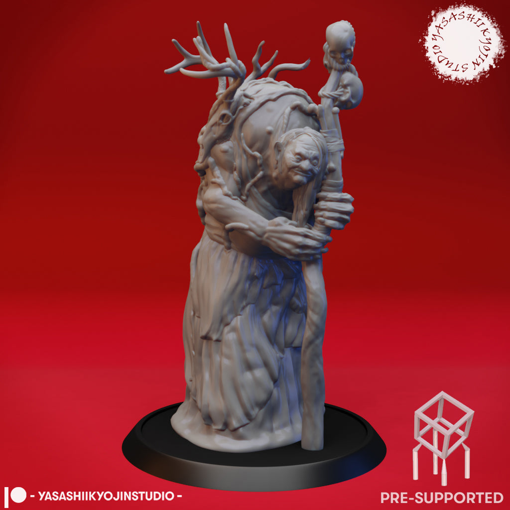 Annis Hag - Tabletop Miniature (Pre-Supported STL)