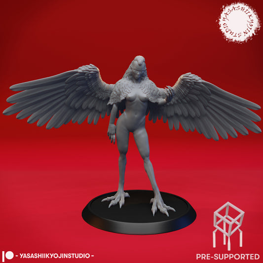 Harpy - Taunting - Tabletop MIniature (Pre-Supported STL)