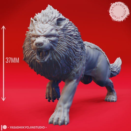 Dire Wolf - Charging - 3D Printed Mini for Tabletop Gaming, Dungeons and Dragons, Pathfinder, Kings of War and other RPG's