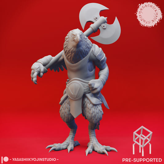 Kenku - Barbarian - Tabletop Miniatures (Pre-Supported STL)