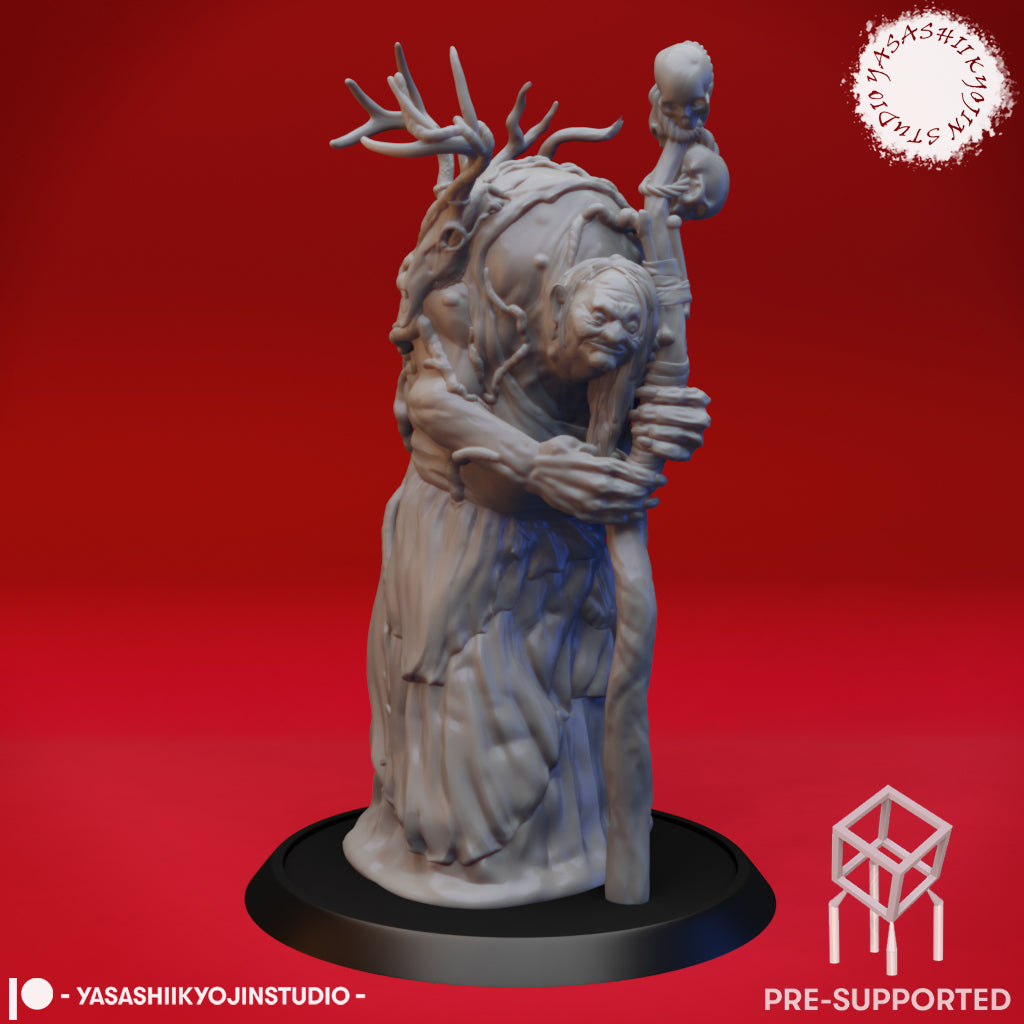 Swamp Hag - Tabletop Miniature (Pre-Supported STL)