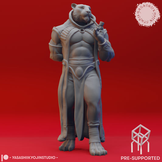 Rakshasa - Tabletop Miniature (Pre-Supported STL)