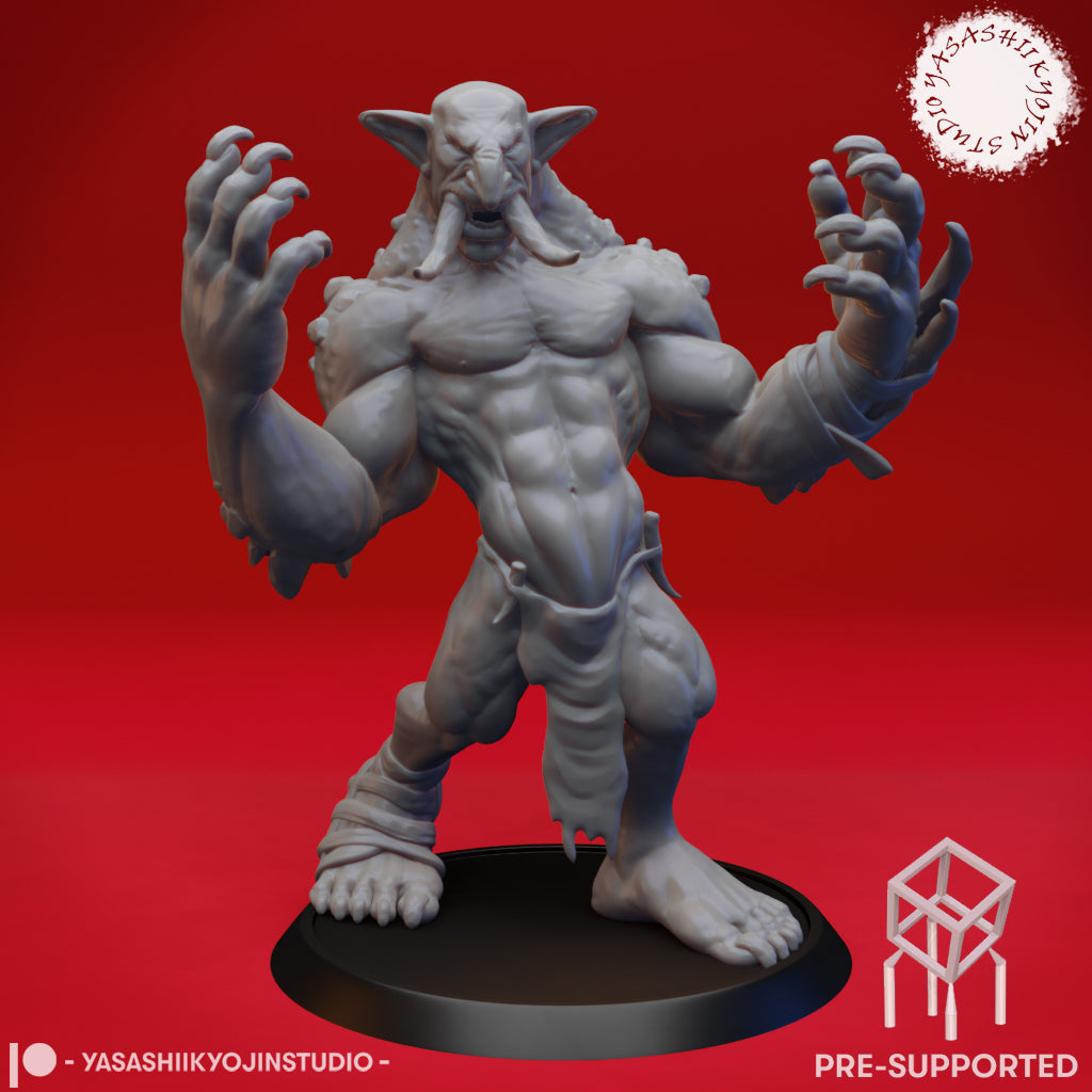 Troll - Tabletop Miniature (Pre-Supported STL)